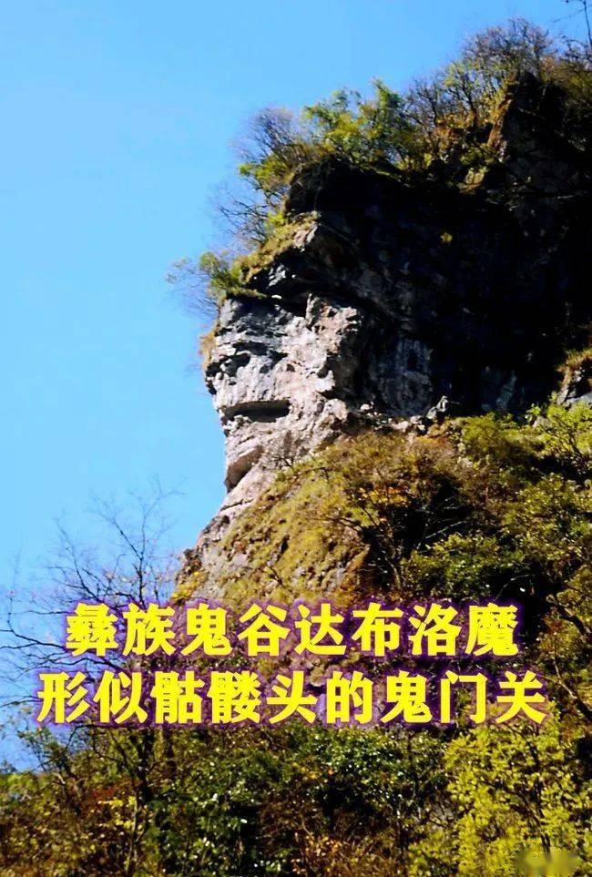 古墓萌妃鬼王的绝宠_爆萌医妃鬼王宠妻上天_萌宝医妃鬼王宠妻上天