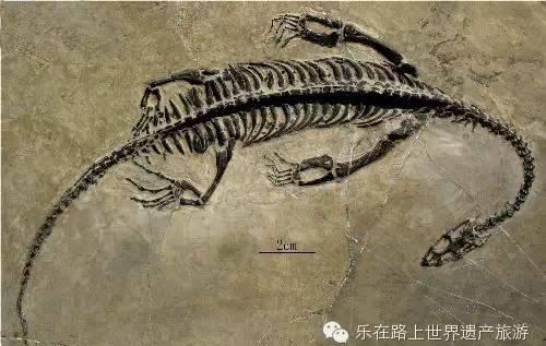 伊奎莉娅_阿奎塔尼亚_塞尔维托里和塔尔奎尼亚的伊特鲁立亚人公墓