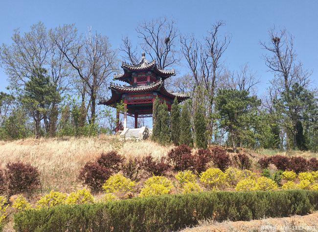沈阳永乐青山意昂4_沈阳永乐青山意昂4办事处电话_沈阳永乐青山意昂4是正规意昂4吗