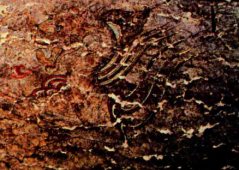 墓室壁画的起源_墓室壁画发展的五个阶段_墓室壁画