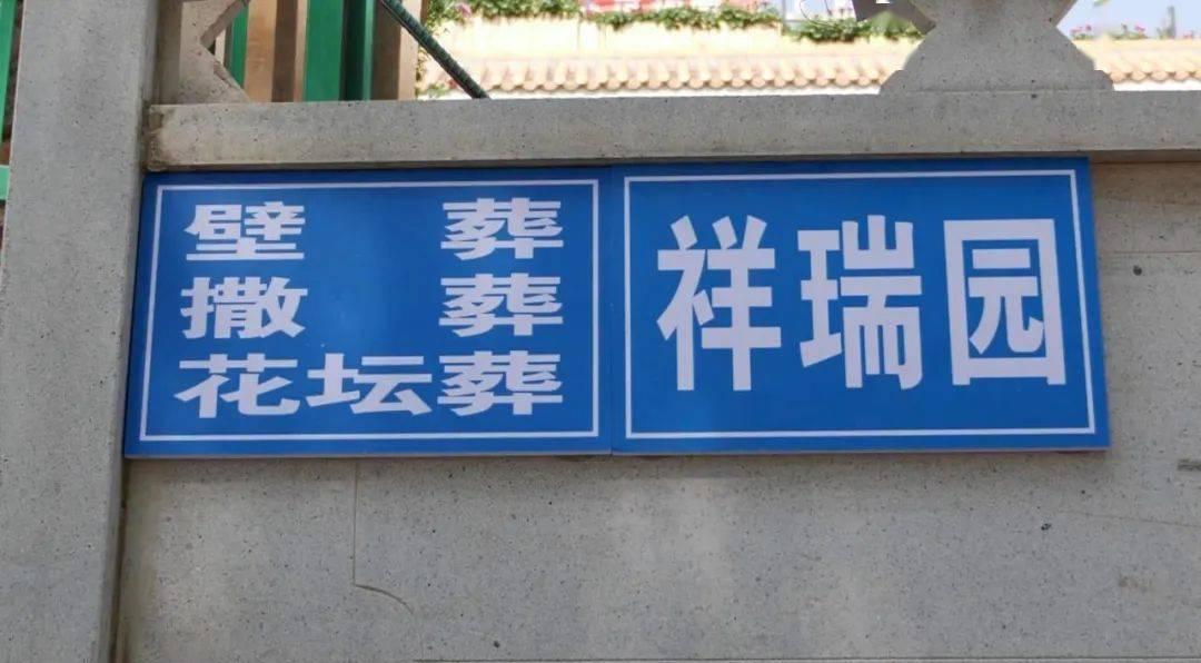 树葬是怎样的葬法_树葬_树葬的图片