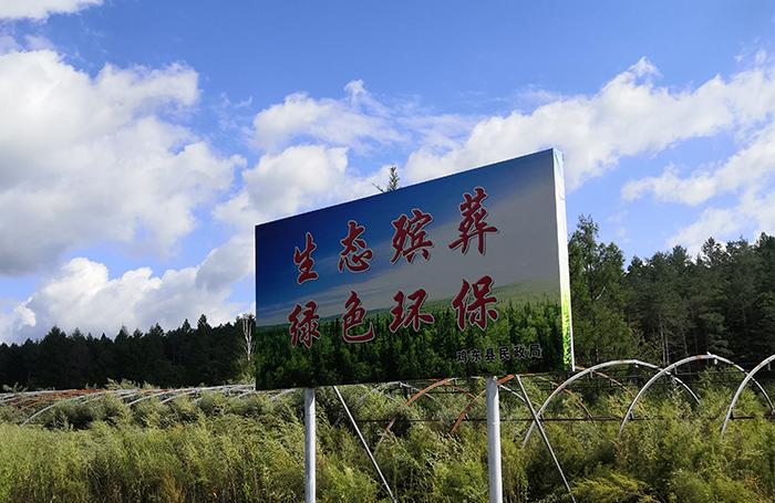 树葬是怎样的葬法_树葬_树葬的图片