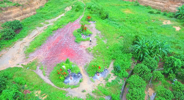 墓地主人_毛家墓地风水名称_毛主席祖坟墓地风水图
