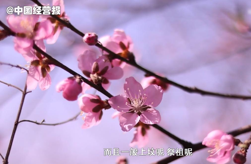 昌平龙泉公墓预约扫墓_昌平龙泉公墓_昌平龙泉陵园