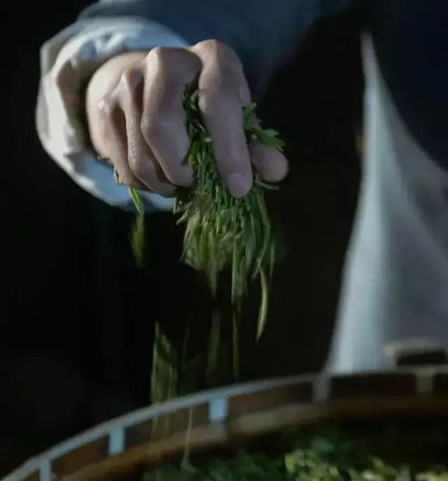 南阳陈氏祠堂_南阳陈氏是哪一个支_南阳祠堂陈氏家谱大全