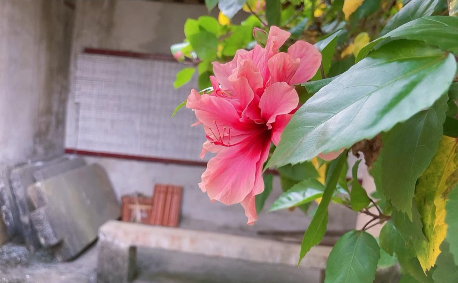 寺庙功德碑范文_寺庙功德碑文样本_寺庙功德碑序言怎么写