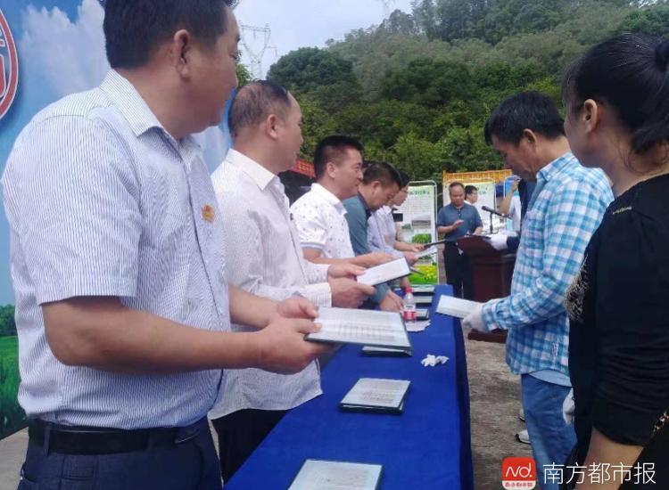树葬费用大概是多少_树葬_树葬什么意思