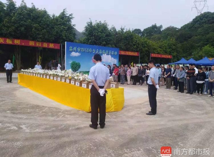 树葬什么意思_树葬_树葬费用大概是多少