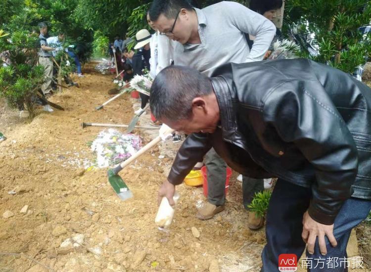 树葬_树葬费用大概是多少_树葬什么意思
