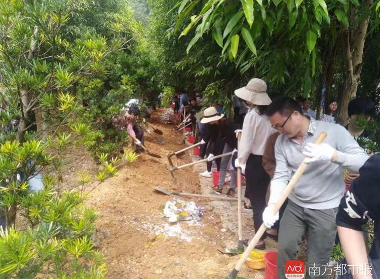 树葬费用大概是多少_树葬_树葬什么意思