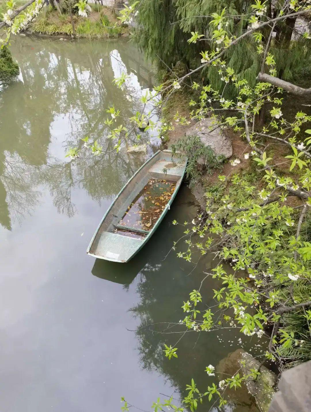 刘湘意昂4是谁破坏的_刘湘意昂4_刘湘的墓