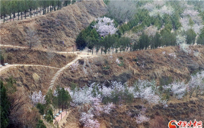 兰州龙凤公意昂4在哪里_兰州龙凤公意昂4电话号码_兰州龙凤园公墓