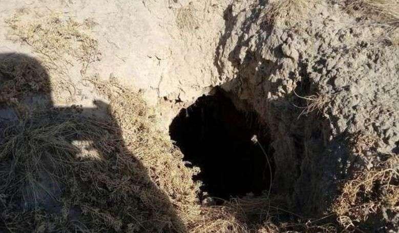 秦景公墓_秦景公墓出土文物_秦景公墓被盗了吗