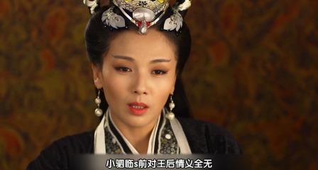 秦景公墓殉葬_秦景公墓出土文物_秦景公墓