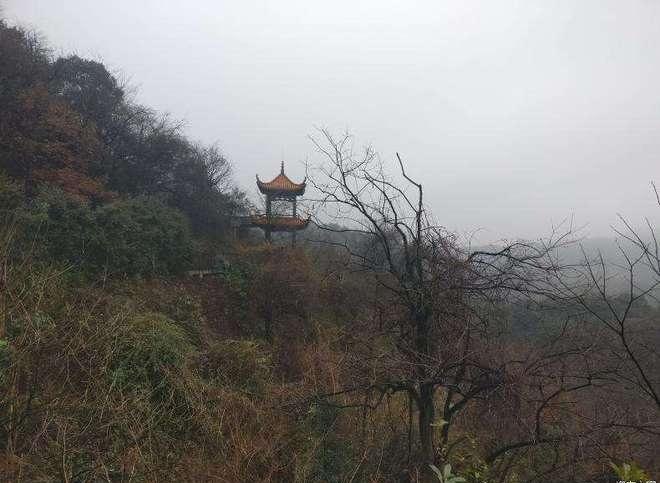 毛泽东祖坟风水_毛泽东祖坟风水_毛泽东祖坟风水