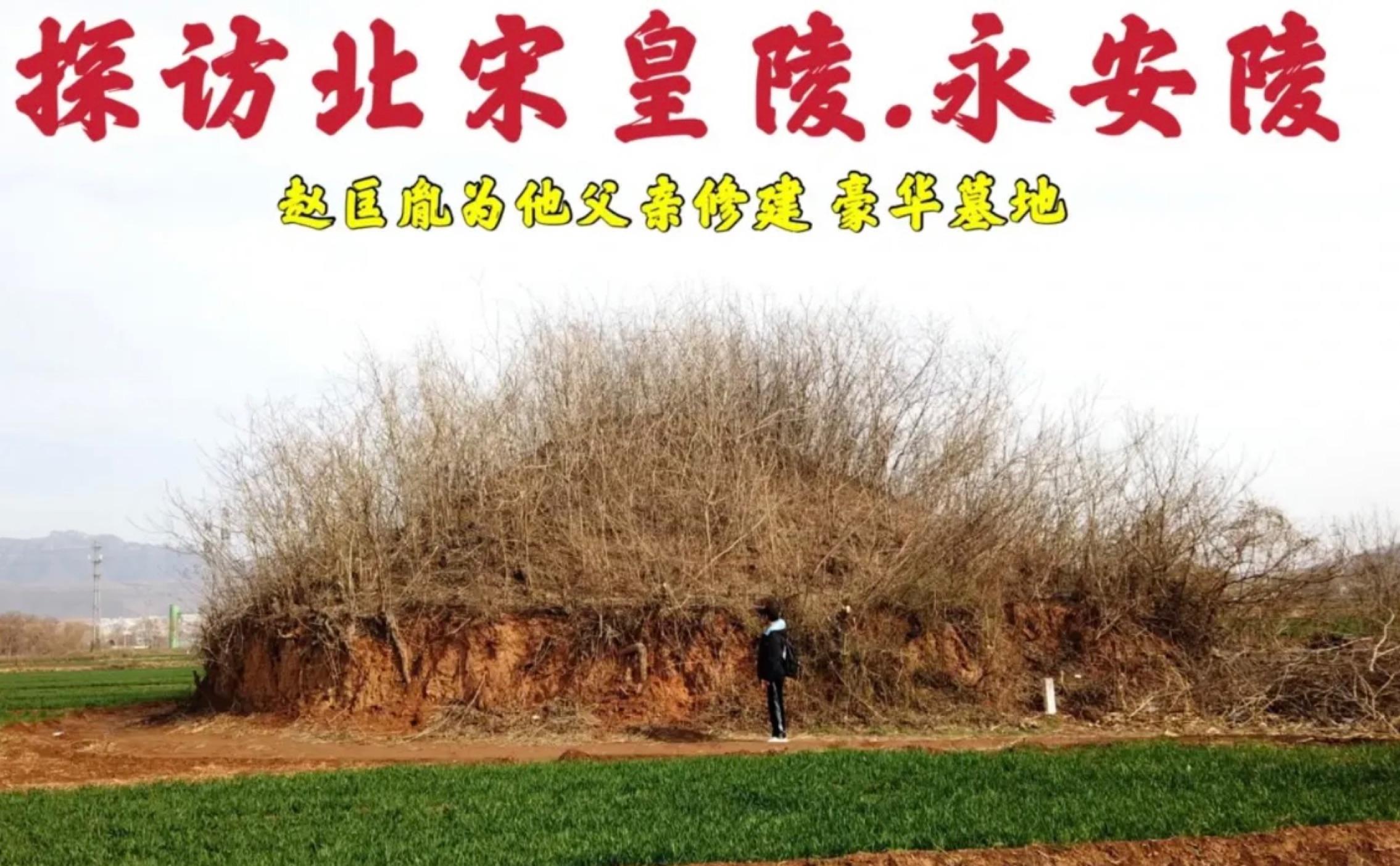 天津市永安陵公墓_天津永安陵公墓_天津公墓永安陵公墓销售