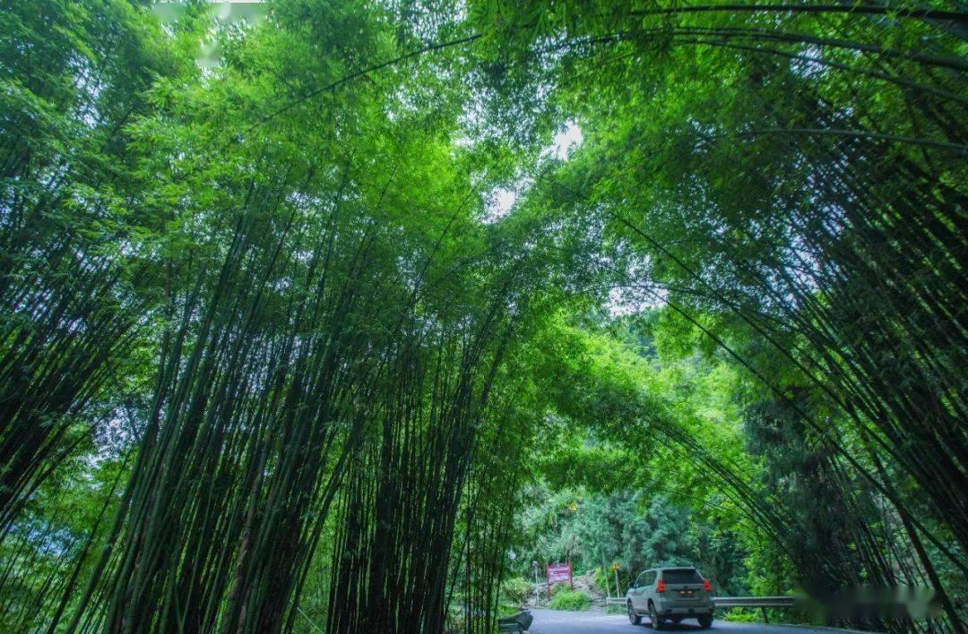 阮啸仙是什么学校的前身_阮啸仙故居_参观阮啸仙故居