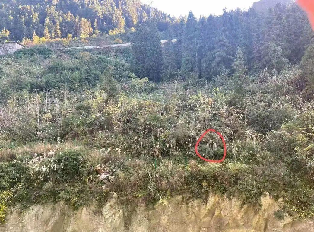风水公墓销售怎么样_公墓的风水_风水公墓好还是农村土坟好呢