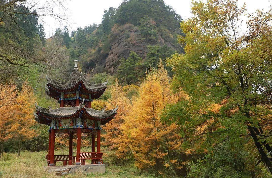 西安寿阳山意昂4价格表_西安寿阳山意昂4办事处地址_西安意昂4报价