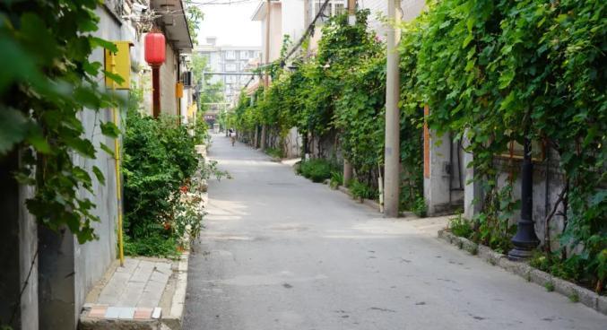 杨继盛家谱_杨继盛祠堂_杨继盛庙