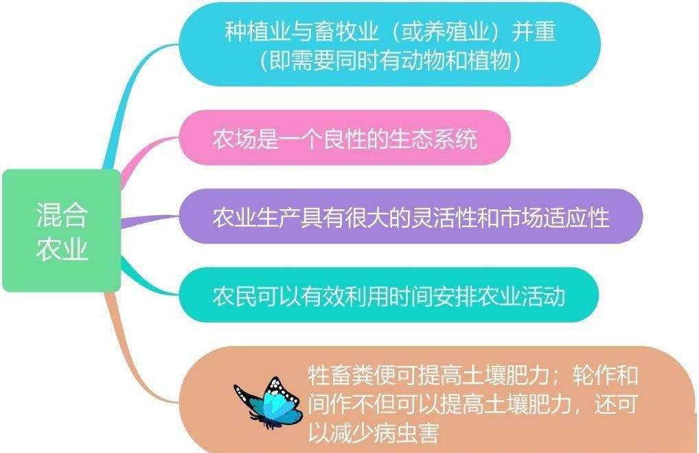 公益性公墓管理暂行办法_公益性公墓建设实施方案_公益性公墓管理