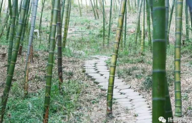 史可法墓祠_中国祠墓志丛刊_祠墓的意思