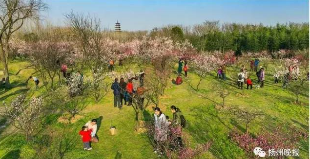 祠墓的意思_中国祠墓志丛刊_史可法墓祠