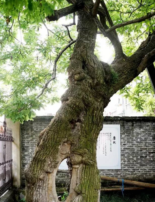 中国祠墓志丛刊_史可法墓祠_祠墓的意思