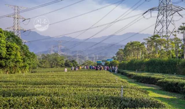 慈湖陵园_慈湖陵寝_慈湖陵寝和大溪陵寝