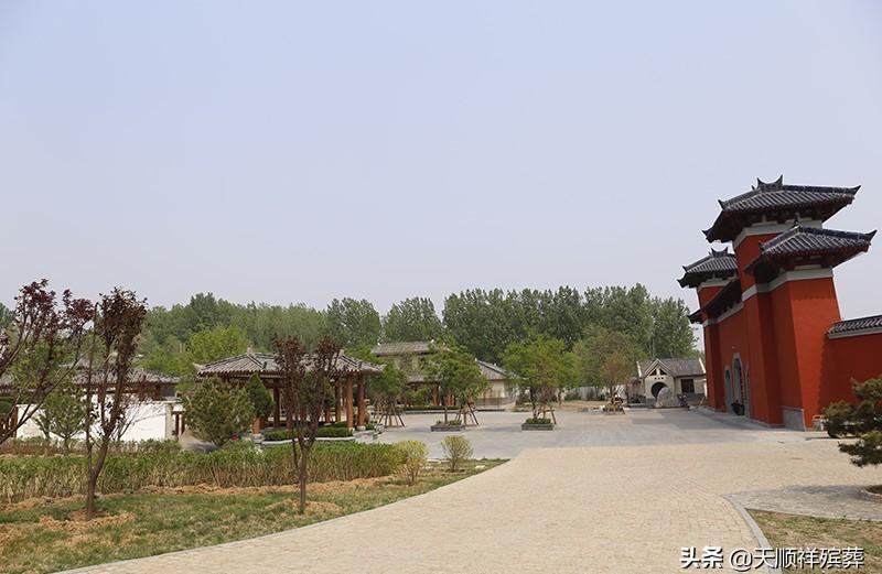 公墓树葬是怎样的葬法_公墓树葬规划方案_树葬公墓