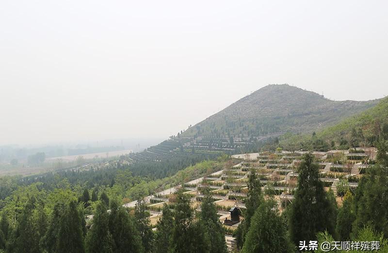 树葬公墓_公墓树葬规划方案_公墓树葬是怎样的葬法