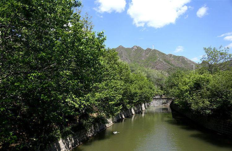 昌平景仰园骨灰林_昌平骨灰堂几点开门_昌平区景仰园骨灰林