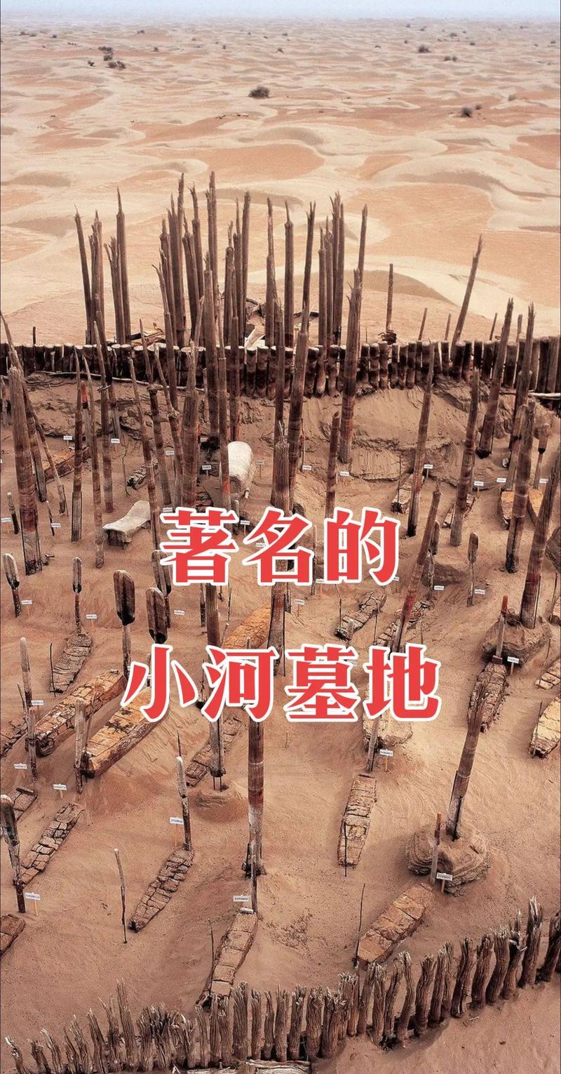 小河墓地发现的意义_考古小河墓地_小河墓地出土