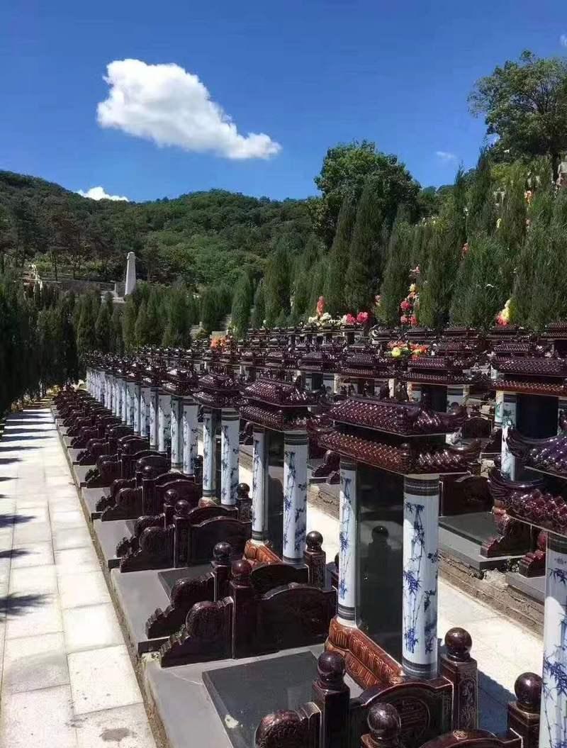 沈阳大河贝意昂4办事处电话_沈阳大河贝意昂4价格_沈阳大河贝意昂4