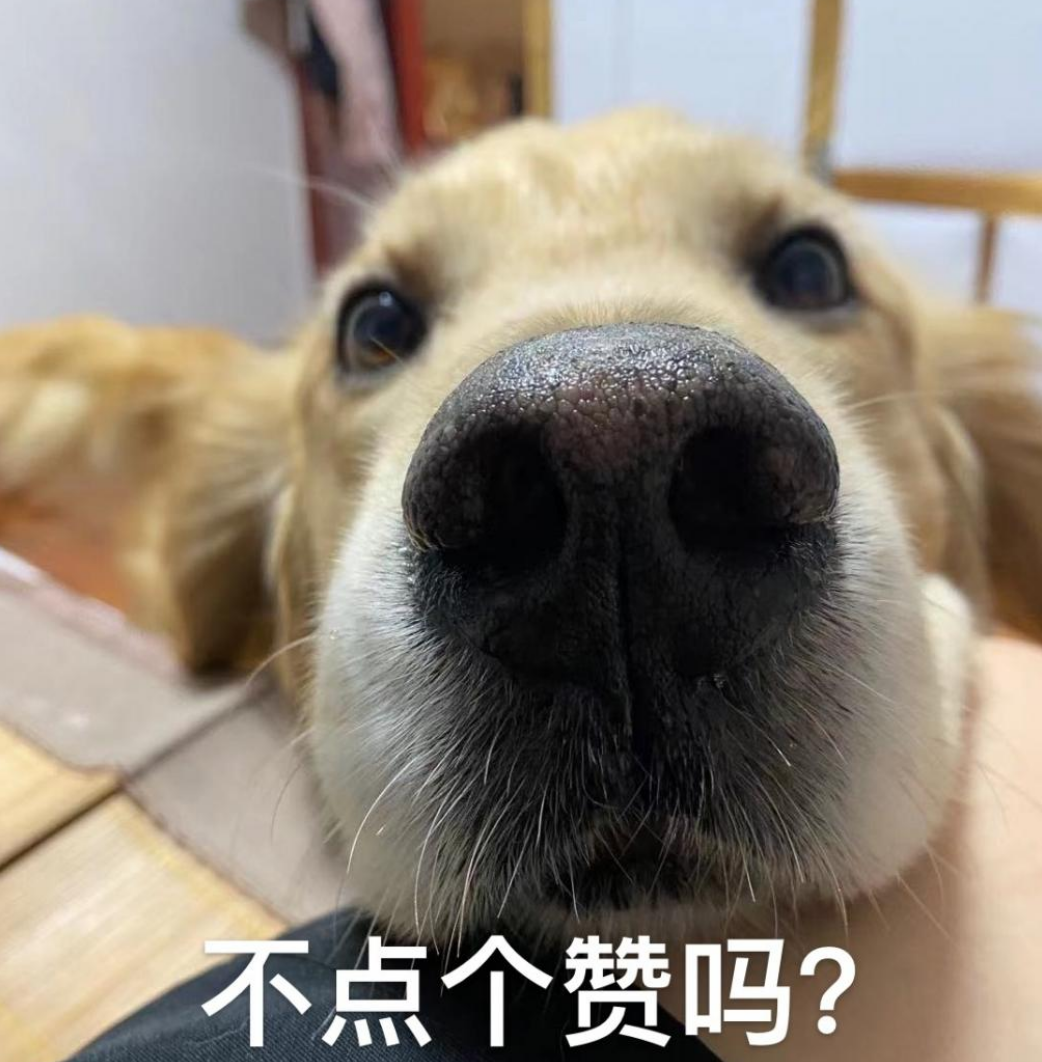 贾平凹故居在哪_贾平凹故居_贾平凹故居游记