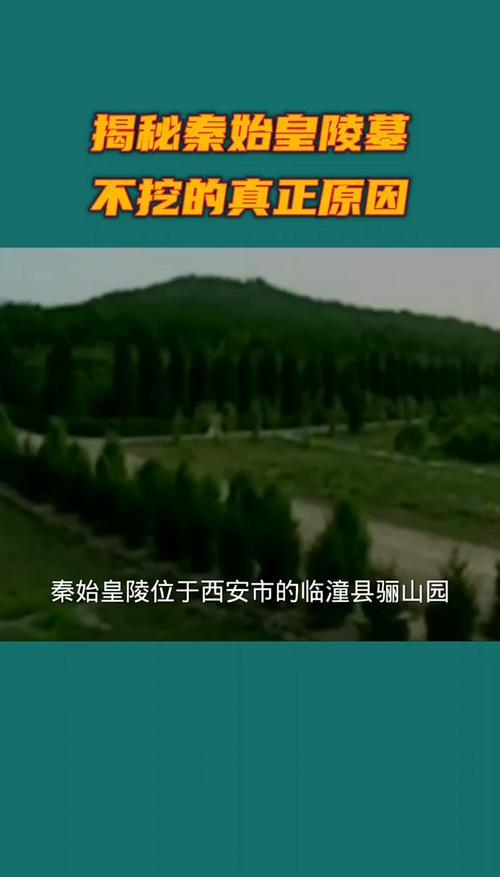 秦始皇陵墓为什么不挖_秦始皇挖陵墓的故事_秦始皇挖陵墓的部队叫什么
