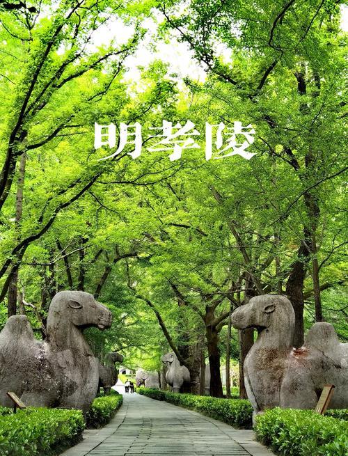 中山陵墓室_中山陵墓室为什么不对外开放了_中山陵墓室内部图片