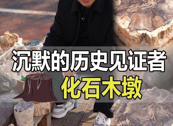 石碑断裂_碎裂的石碑_石碑断了
