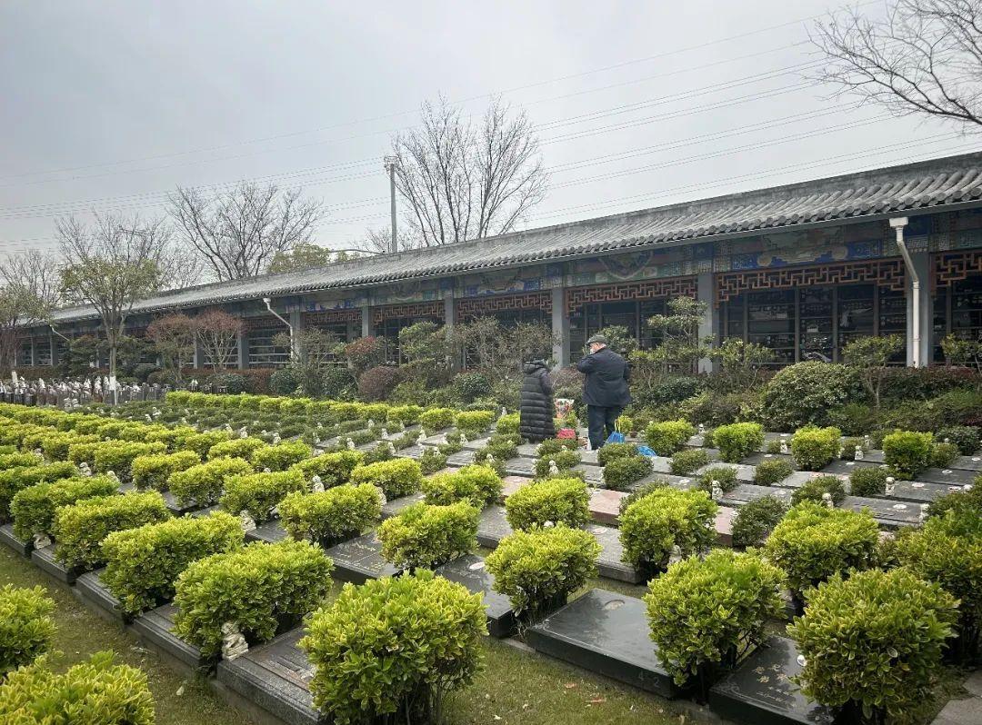 上海松鹤园墓地官网预约_上海松鹤园墓地电话_上海松鹤意昂4