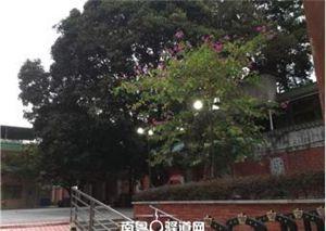 杨匏安故居联系电话_扬匏安故居_杨匏安故居