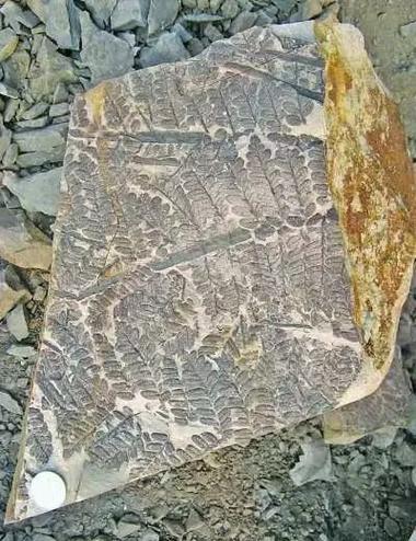 古代壁画墓_古墓壁画值钱吗_古墓壁画