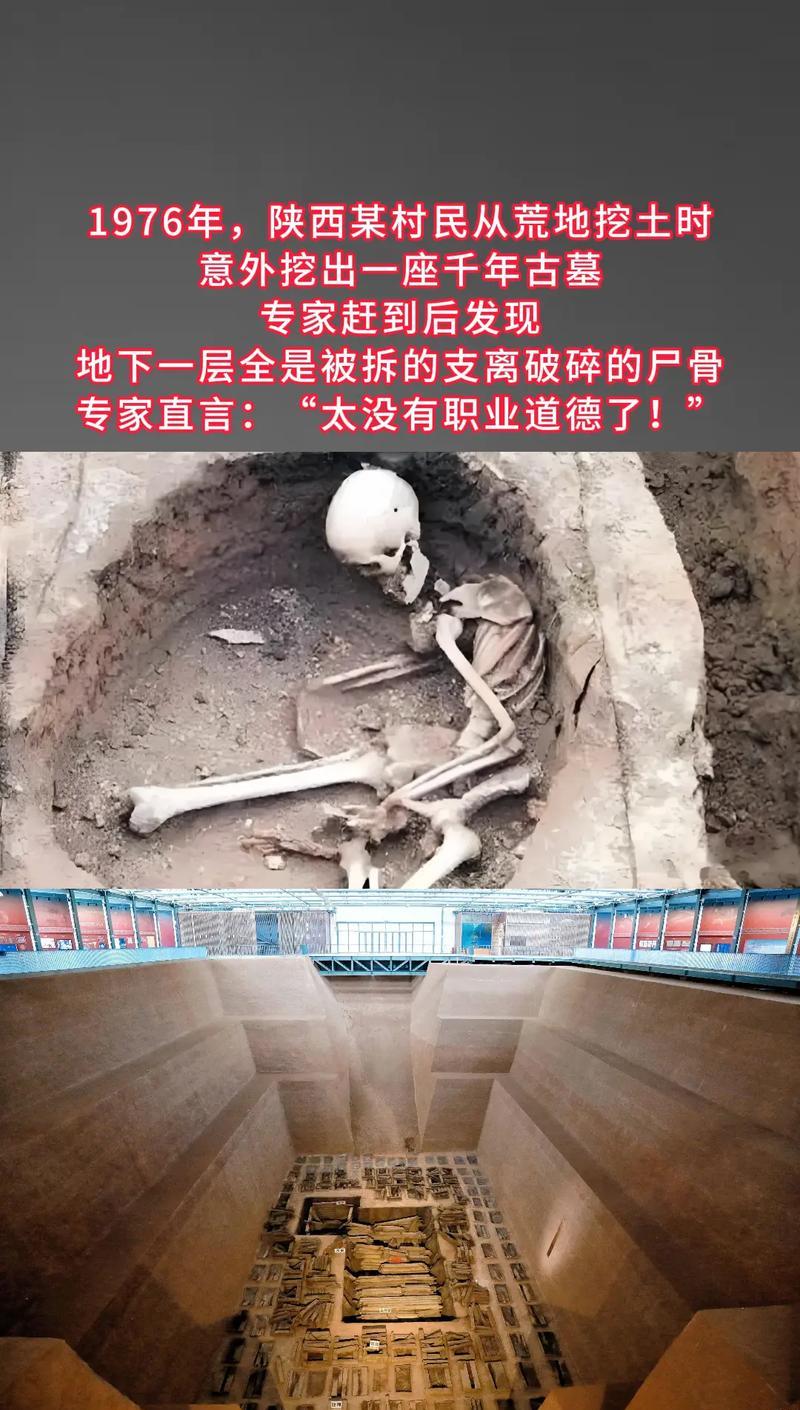 古墓壁画_古墓壁画值钱吗_古代壁画墓